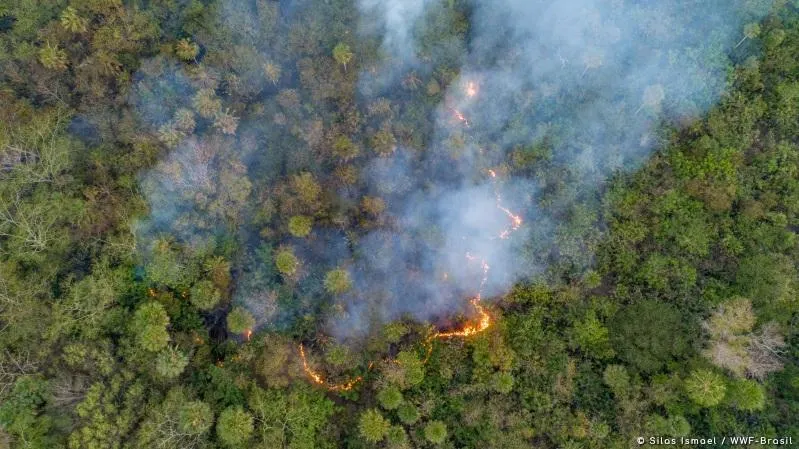 Governo de MT pede manutenção de sistema próprio para controle ambiental PGE argumenta que Mato Grosso já possui um sistema moderno e eficiente para a emissão de ASV