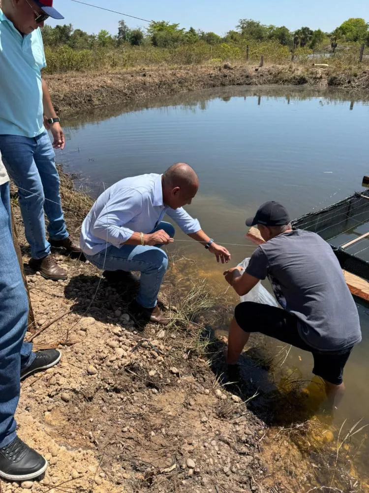 Juca do Guaraná entrega alevinos e reforça apoio à piscicultura em Nova Marilândia
