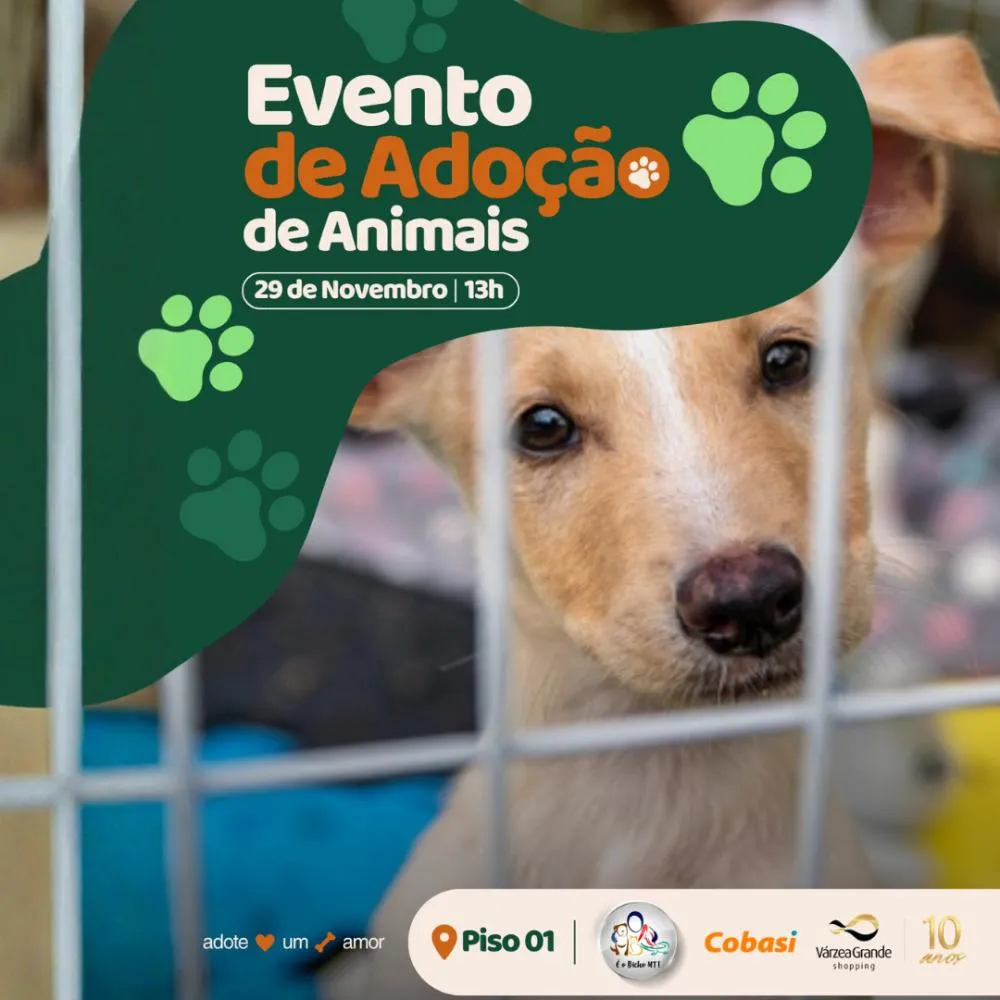 EVENTO DE ADOÇÃO no Shopping VárzeaGrande