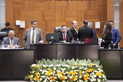 Assembleia Legislativa aprova LOA de 2025 em primeira votação O valor representa um aumento de 5,75% em comparação ao PLOA de 2024, fixado em R$ 35,060 bilhões