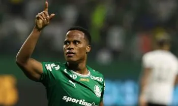 CAMPEONATO BRASILEIRO Palmeiras derrotou Botafogo e assumiu a liderança do Campeonato Brasileiro